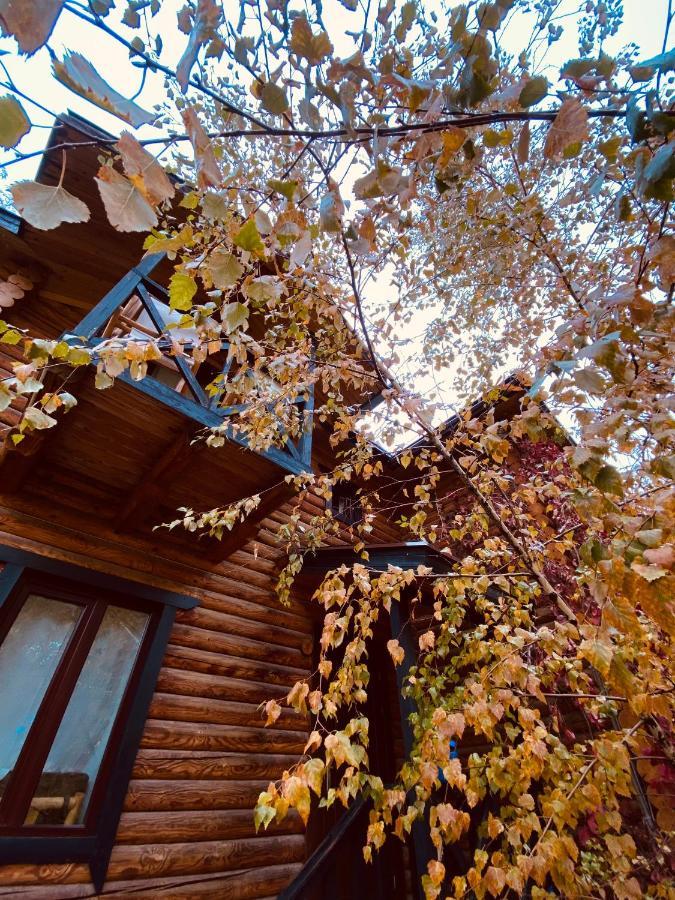 Boutigue Hotel Nebesa Chimgan Екстер'єр фото
